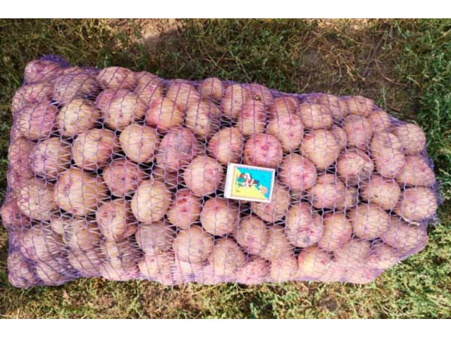 Продам посадочный картофель сорта Иван да Марья